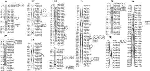 Frontiers | Genetic dissection of protein and starch during