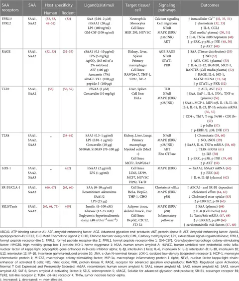 saaa 専用 Gas Cylinder Locker, 20 Large Tanks, Outdoor, Vertical