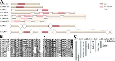 mode:models 写真集 Grace VanderWaal & Becky G Star In Gorgeous Photoshoot for