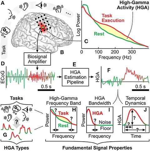 eeg 2012年 The association between working memory precision and the