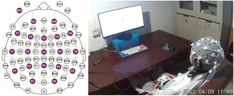 ラ Frontiers | Brain optimization with additional study time