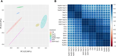 専用ページ（オーダー）【2】 Frontiers | Characterization, comparative phylogenetic, and
