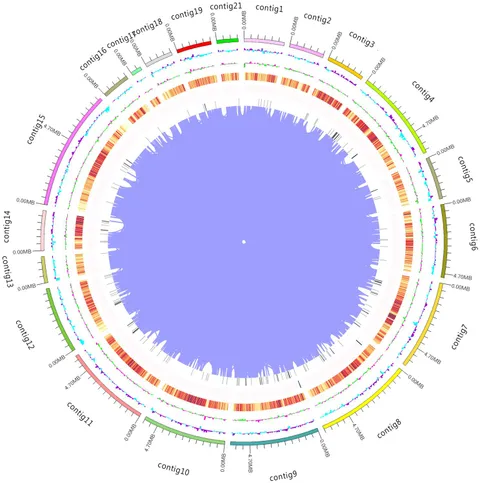 ℳ. Frontiers | High-quality genome assembly and multi-omics
