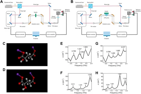 Frontiers | Progress in application of terahertz time-domain