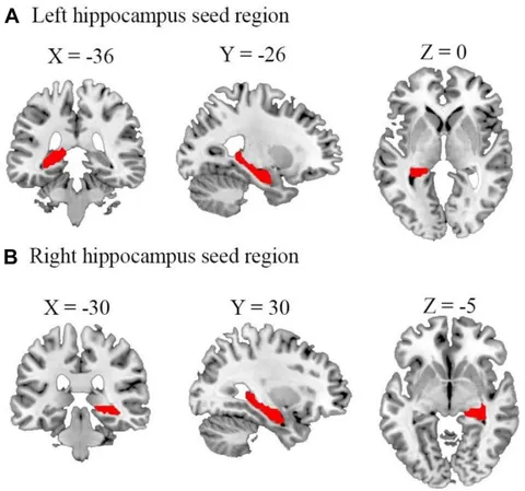 脳機能入門 = A Glimpse of Brain Functions : … 脳機能入門 = A Glimpse of Brain Functions : … 脳機能入門 = A