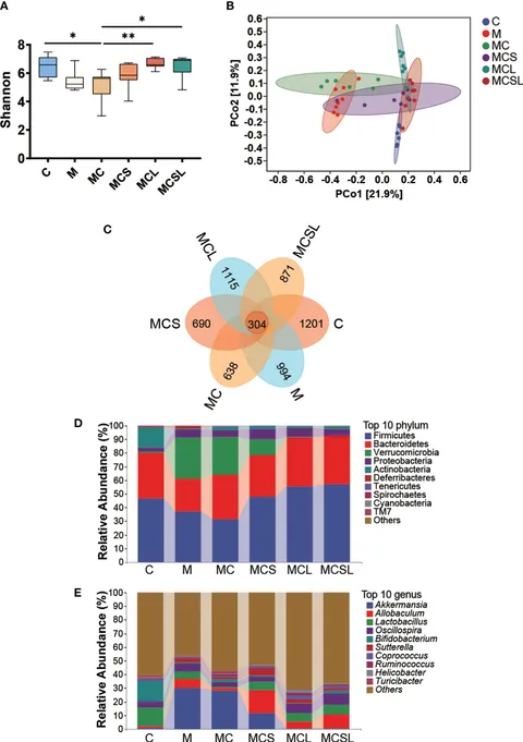 Frontiers | Combination of thalidomide and Clostridium
