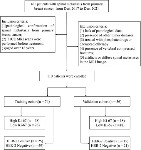 Frontiers | Radiomics signatures for predicting the Ki-67