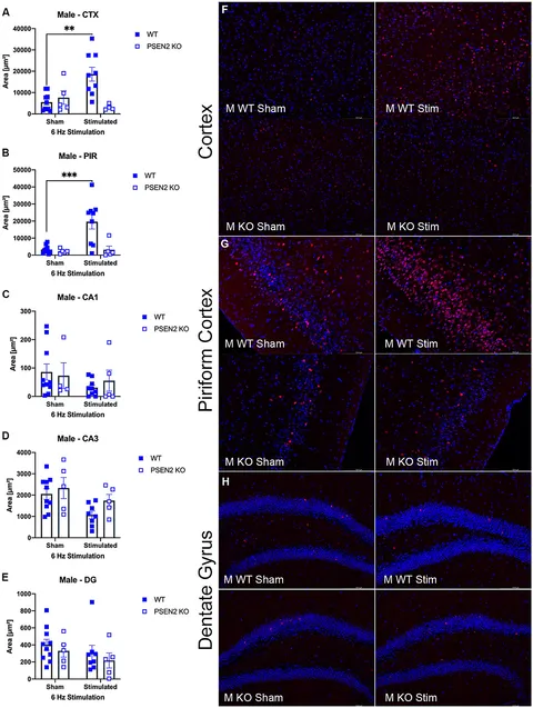 Frontiers | Loss of normal Alzheimer's disease-associated