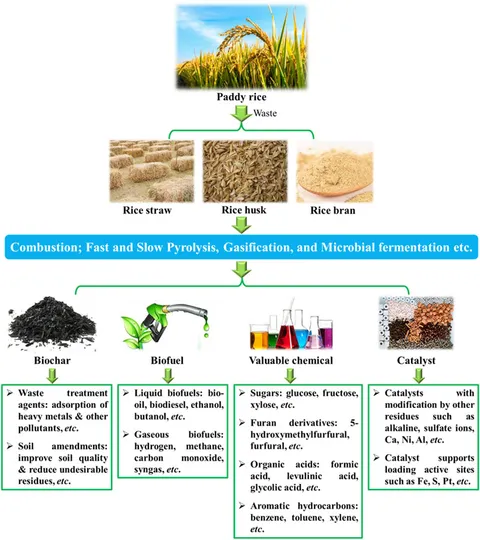 暮らしに便利なアイテム Frontiers | Sustainable application of rice-waste for fuels リール