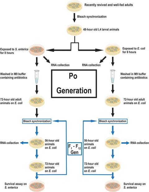 Eski gey porno Andrea Sultiz pornosini onlayn tomosha qiling