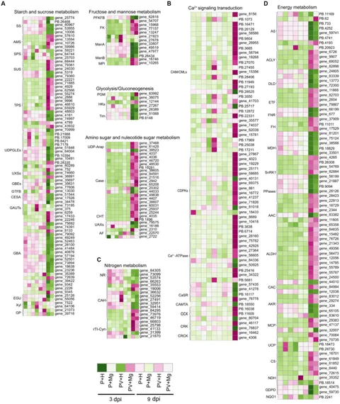 Frontiers | Transcriptome sequencing and functional