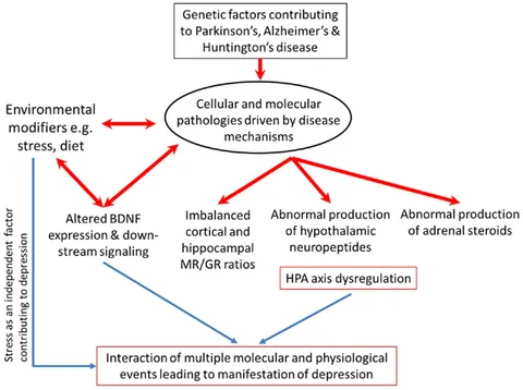 Frontiers | Is Dysregulation of the HPA-Axis a Core