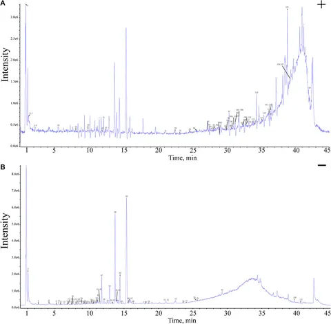Frontiers | Rhizoma Atractylodis Macrocephalae—Assessing the