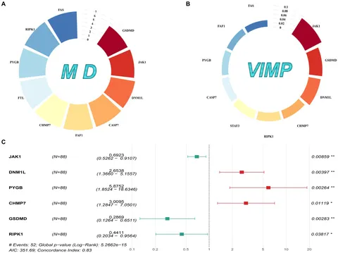 Construction of N-7 methylguanine-related mRNA prognostic
