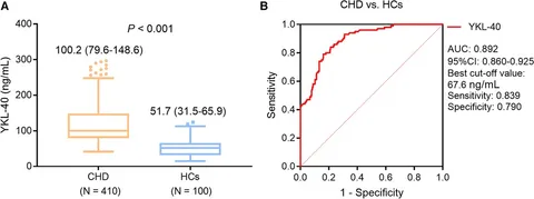 Frontiers | Serum YKL-40 in coronary heart disease: linkage