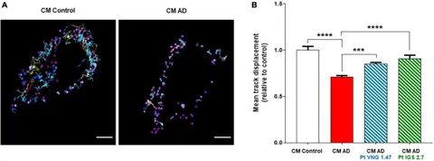 Frontiers | TTBK1 and CK1 inhibitors restore TDP-43
