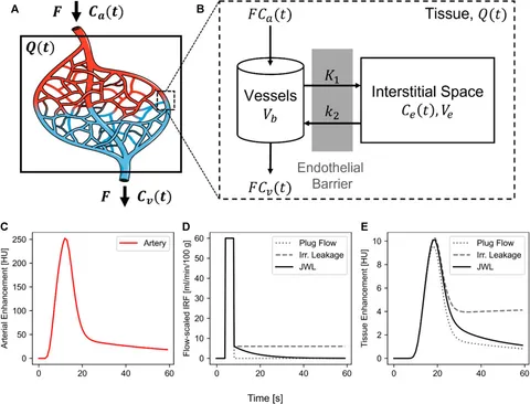 Frontiers | Quantitative functional imaging with CT