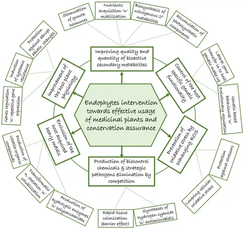 Lanthanide-functionalized metal–organic frameworks as