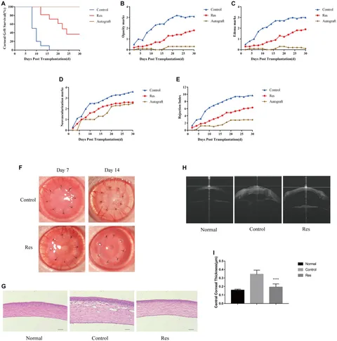 ワン Advances in co-pathogenesis of the united airway diseases