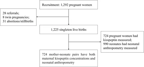 Conception, Pregnancy and Birth: Dr Miriam Stoppard