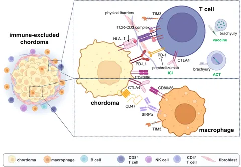480専用ページ ZX-R380公式限定非売品カッティングステッカー付 | ZEXUS公式サイト