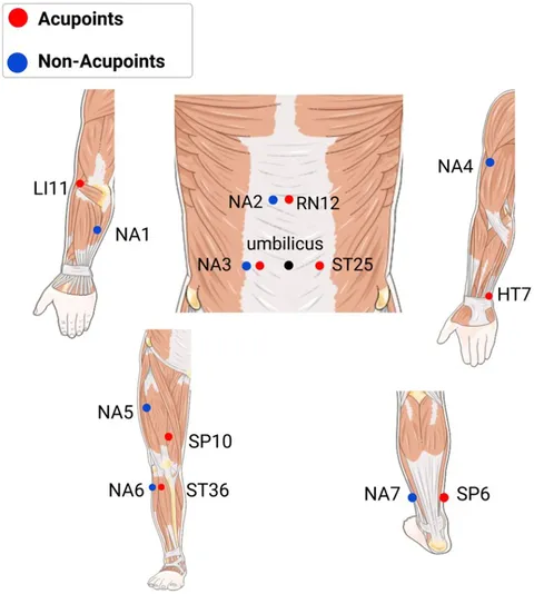 Acupuncture Energetics 東洋医学 fneur-14-1263753-g002.jpg