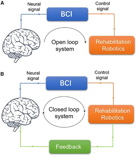 Frontiers | Favoring the cognitive-motor process in the