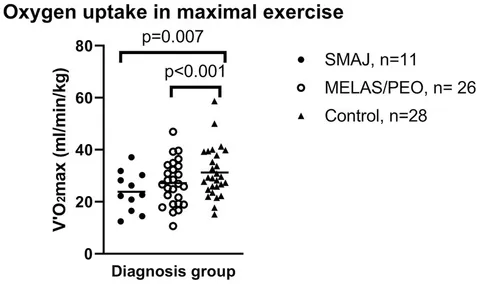 Frontiers | Lowered oxidative capacity in spinal muscular