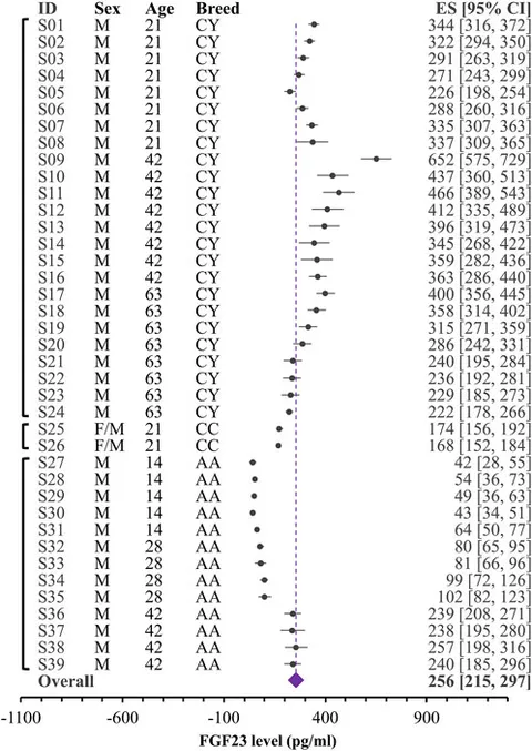 訳あり商品 Frontiers | systematic a chicken, poultry in level FGF23 着物・浴衣