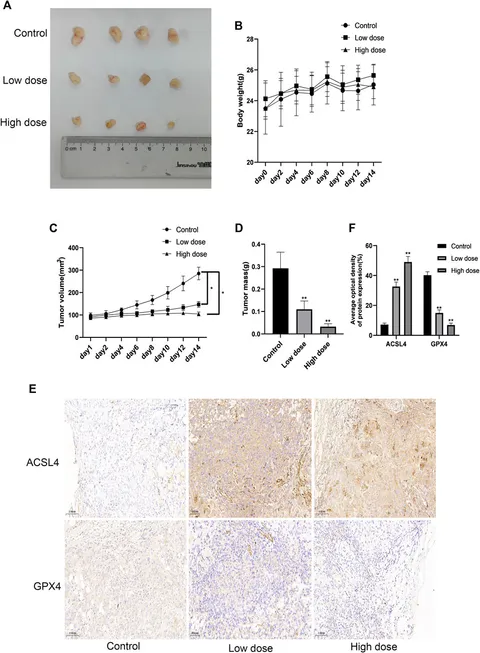 Frontiers | Surufatinib combined with photodynamic therapy