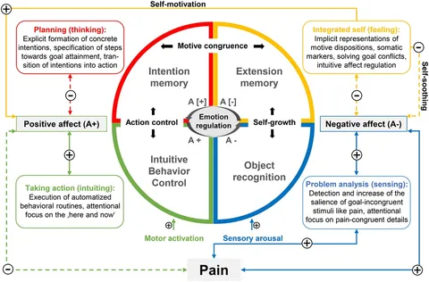 Amazon.com: Psychology of Self-Regulation: Cognitive