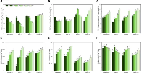 Frontiers | Distinctive physiological and molecular