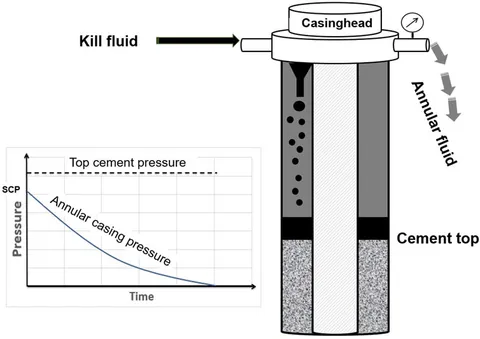 Frontiers | Design and field-scale demonstration of the