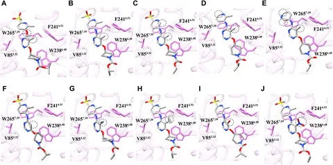 Frontiers | Structure of human GPR119-Gs complex binding