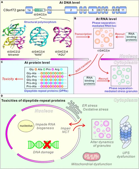 DNA / SCATTER THE BRAIN ジャパメタ VIRUS DNA / SCATTER THE BRAIN ジャパメタ VIRUS DNA / SCATTER THE