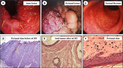 Lara Stivens porno yulduzi
