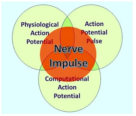 超特価激安 Frontiers | Neurocomputational mechanisms underlying フラワー・リース