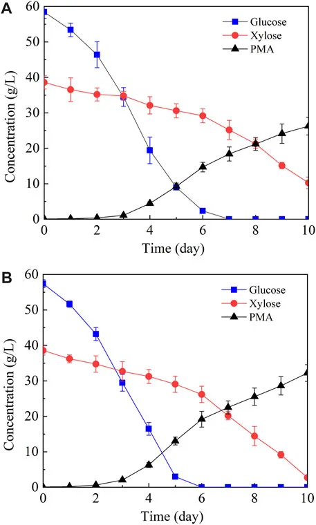 How Photocatalyst Dosage and Ultrasound Application