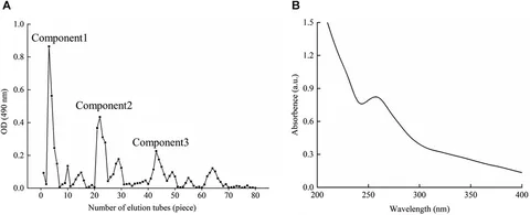 Frontiers | Isolation and purification of polysaccharides