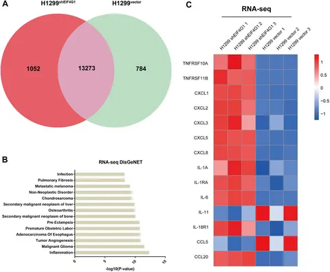qK。 Frontiers | Photonanozyme–Kras–ribosome combination