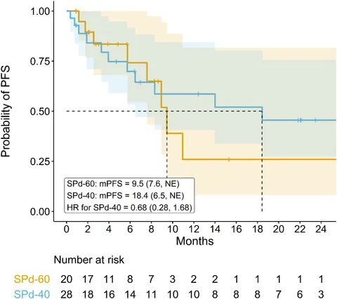 Randomized phase II trial of pemetrexed-cisplatin plus