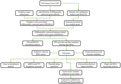 Frontiers | Transcriptomic analyses of ovarian clear-cell