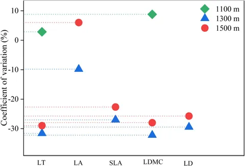 【クーポン対象外】 Frontiers | Leaf functional traits of Daphniphyllum トップス