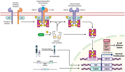 chii  Epigenetic map and genetic map basis of complex traits in