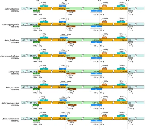 Frontiers | Insights into comparative genomics, structural