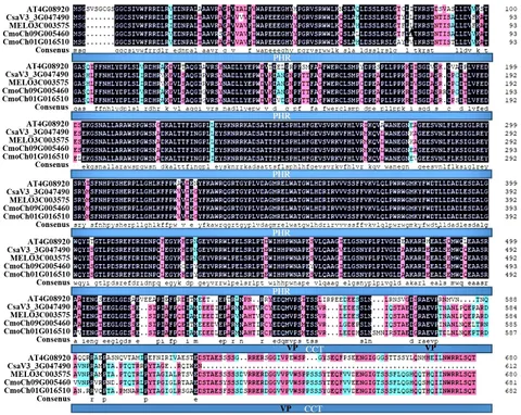 Frontiers | Genome-wide identification and expression