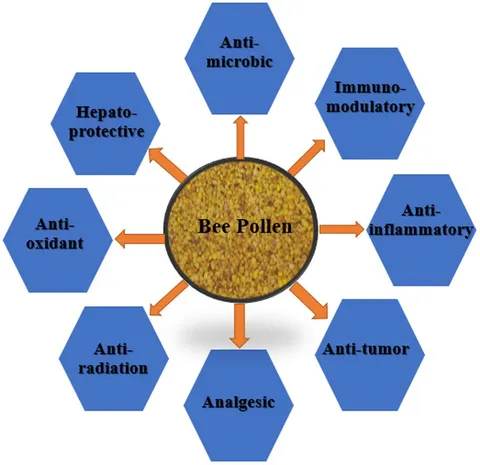 Frontiers | Bee pollen as a food and feed supplement and a