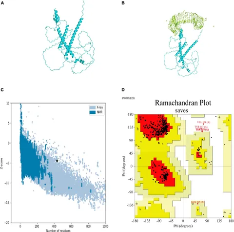 Frontiers | Multi-epitope vaccine design for hepatitis E