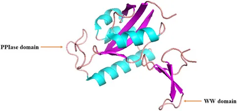 fphar-15-1373446-g001.jpg