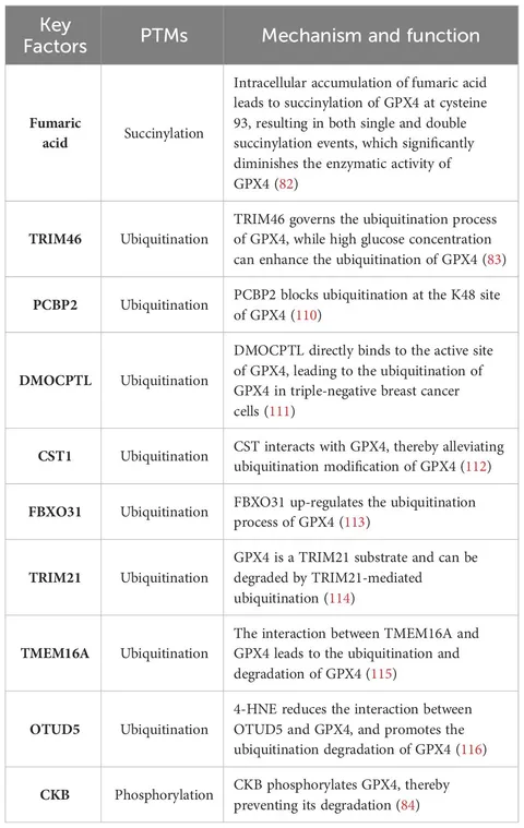 Frontiers | Ferroptosis in liver cancer: a key role of post